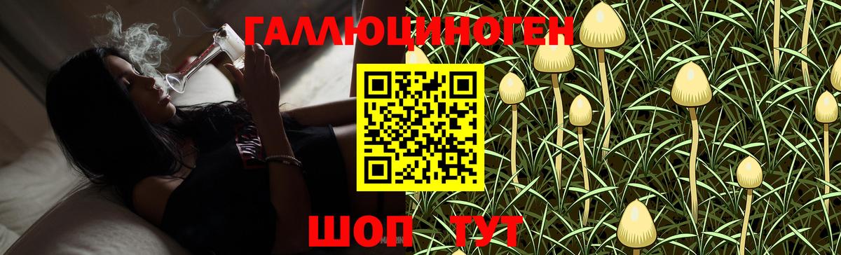 купить  сайты  Вход с VPN  Киров  Галлюциногенные грибы MAGIC MUSHROOMS 